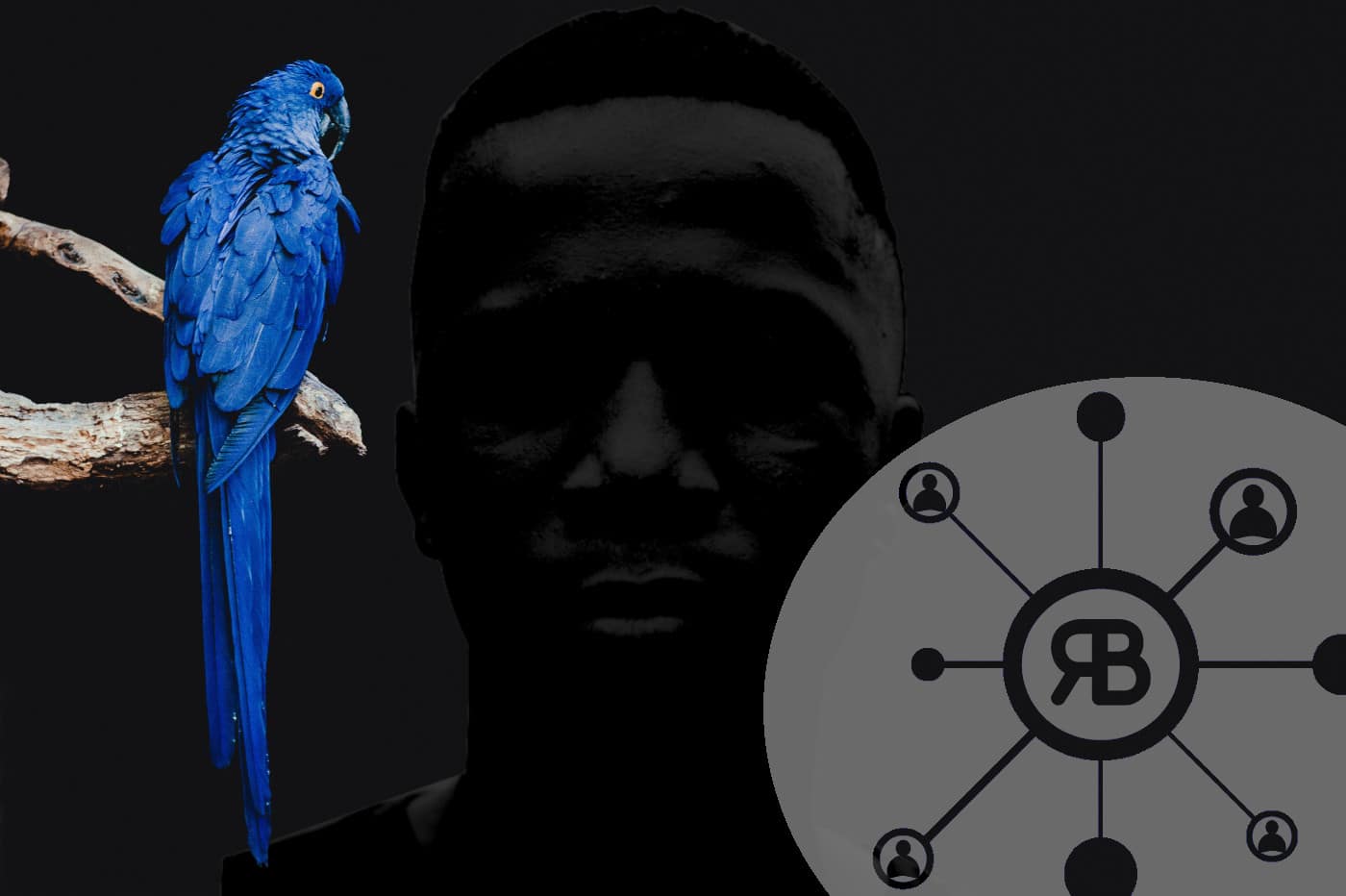 Face sombre cachée du growth hacking logo richard bulan et perroquet bleu
