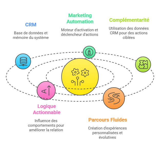 Illustration de la complémentarité CRM et marketing automation