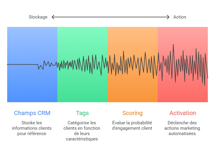 Illustration de la structuration des champs CRM pour l’exploitation marketing