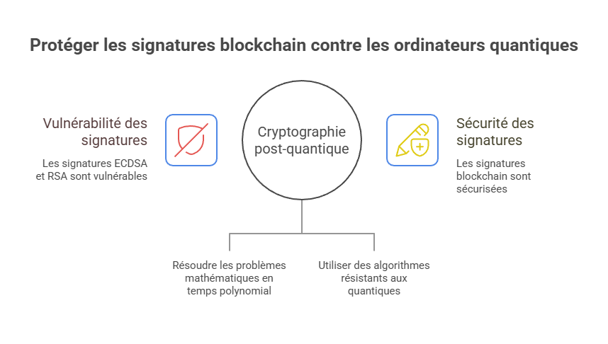 Vulnérabilité quantique ECDSA et RSA