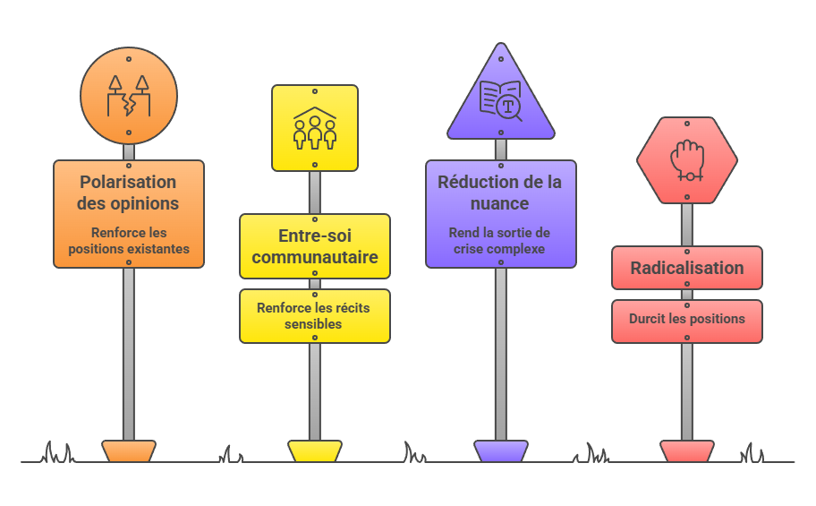 Illustration p&eacute;dagogique : polarisation et effet de caisse de r&eacute;sonance en communication de crise