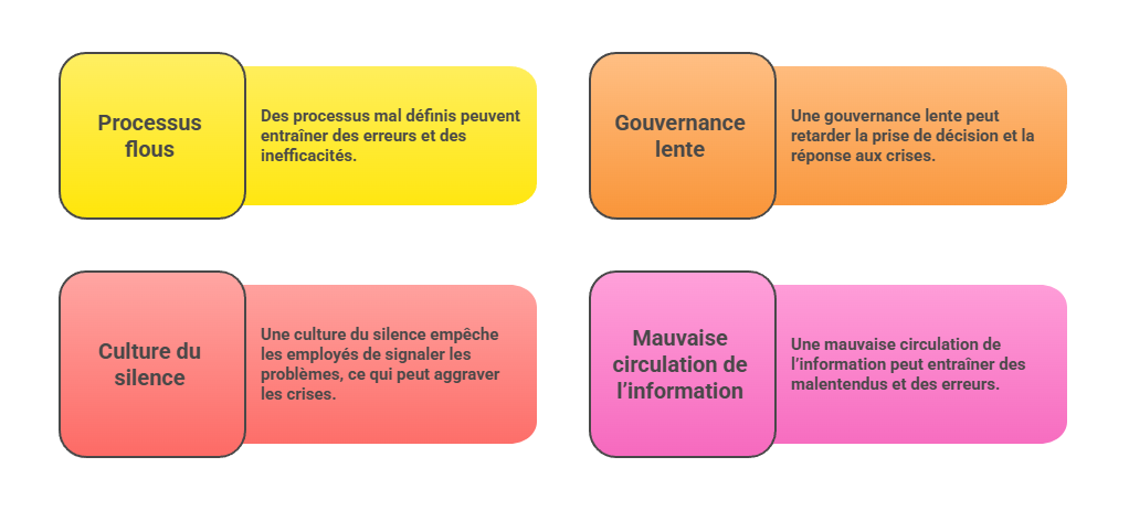 Illustration — Identification des vulnérabilités organisationnelles