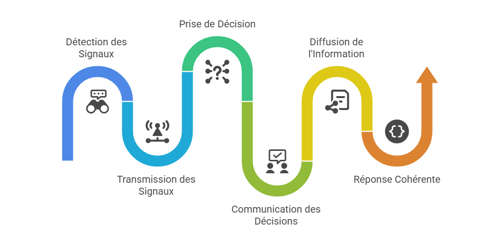 Illustration — Articulation entre veille, direction et communication