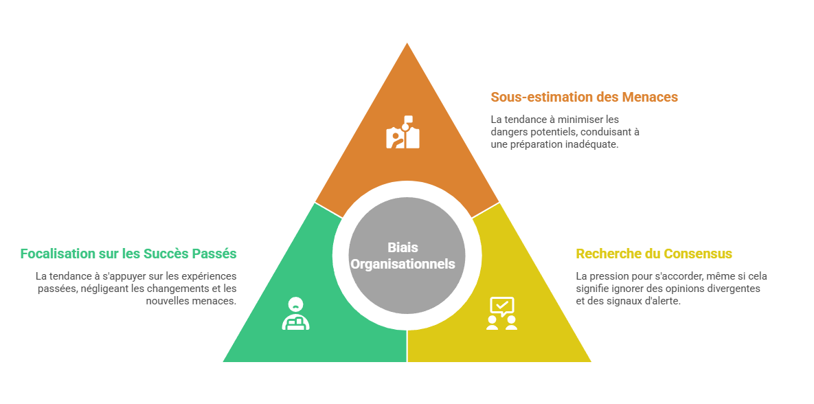 Illustration — Les biais organisationnels face aux risques