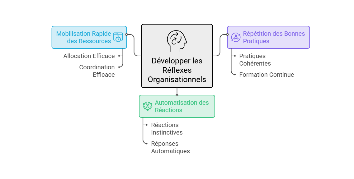 Illustration — Développer les réflexes organisationnels