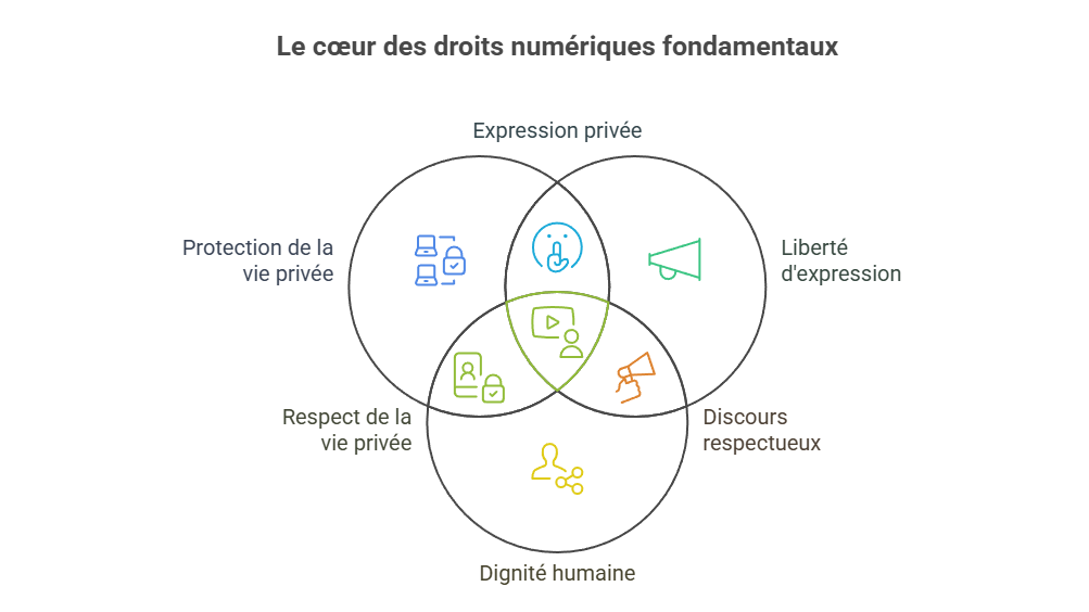 Illustration de la protection des droits fondamentaux