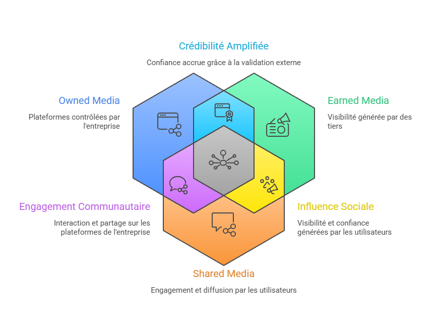 Illustration de l'écosystème de diffusion