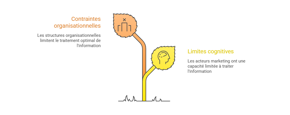 Illustration — Limites cognitives et contraintes organisationnelles