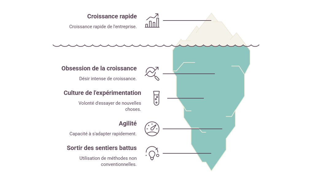 Illustration — Sean Ellis et la naissance du Growth Hacking