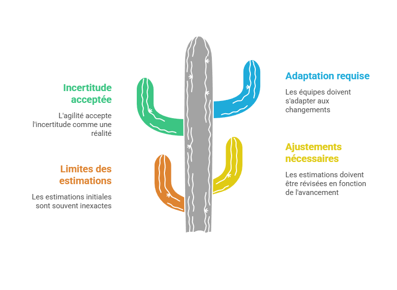 Illustration des limites et ajustements des estimations