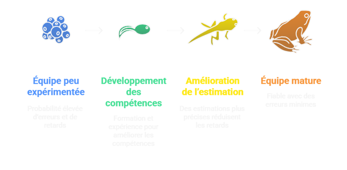 Schéma de maturité