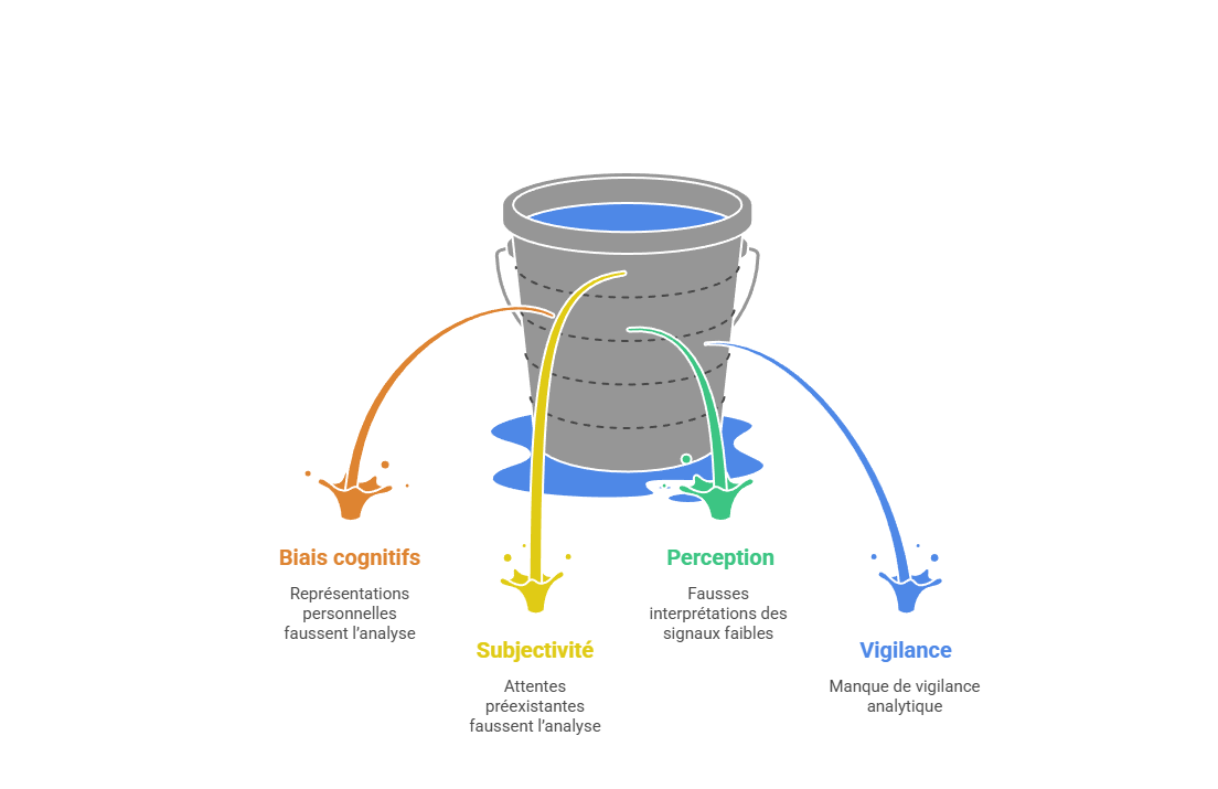Illustration des biais cognitifs
