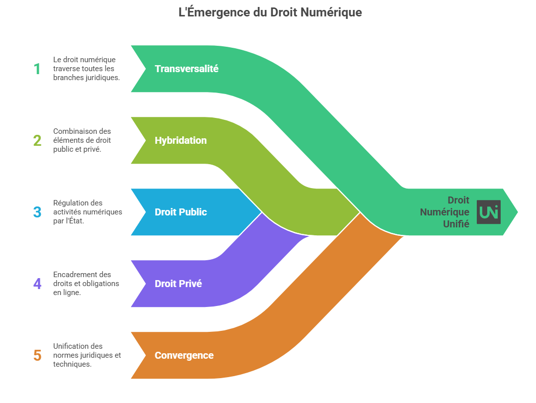 Illustration de l'émergence d'un droit transversal