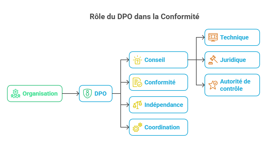 Illustration : rôle du DPO